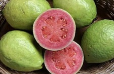 Pink guava seeds for sale  Copperas Cove