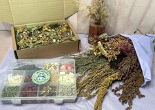 Ultimate hamster bundle for sale  LONDON