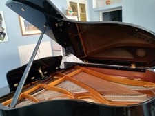 Pianoforte coda seiler usato  Torino