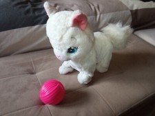 Gattina bianca toy usato  Trani