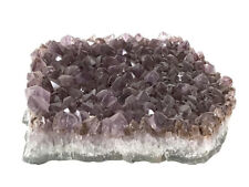 Large natural healing for sale  Salem