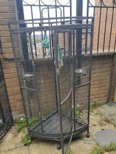 Large corner bird for sale  BRADFORD