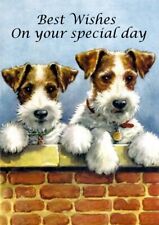 Wire fox terrier usato  Spedire a Italy