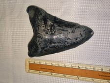 megalodon tooth for sale  WORTHING