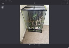 Glass vivarium 910x600x455 for sale  SAFFRON WALDEN