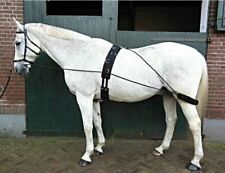 Training aid lunging for sale  CHEPSTOW