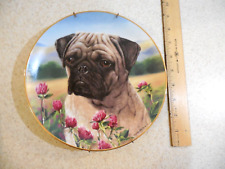 Pug dog collectable for sale  Surprise