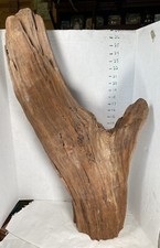 large driftwood pieces for sale large driftwood pieces for sale Brookwood
