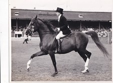 Original press photo for sale  ASHFORD