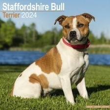 Calendrier 2024 staffordshire d'occasion  Troyes
