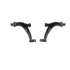 Bracci oscillanti anteriori usato  Italia