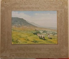 Original watercolour painting for sale Original watercolour painting for sale  BURNTWOOD