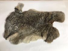 rabbit fur 2 pelt taxidermy for sale rabbit fur 2 pelt taxidermy for sale Pleasant Ridge