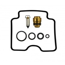 Carburetor repair kit for sale  BRIGHTON