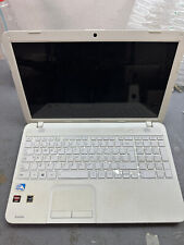 Computer toshiba satellite usato  Napoli