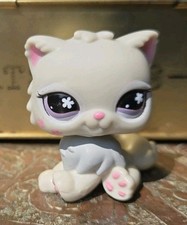 Littlest petshop persian d'occasion  Expédié en Belgium