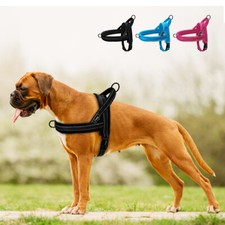 Harnais petit chien d'occasion  Expédié en France