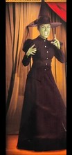 Wicked witch costume for sale  Ahwahnee