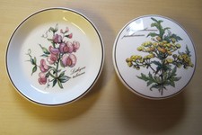 Kleiner teller deckeldose gebraucht kaufen  Winnenden