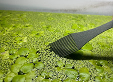 Duck weed weeder for sale  SUNDERLAND