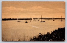Postcard weekapaug rhode for sale  Walkersville