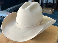 Bailey 20x beaver for sale  Los Angeles