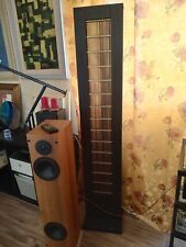 Diffusori elettrostatici audio usato  San Severo