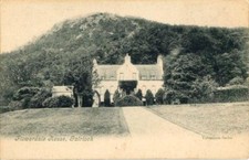 Printed postcard flowerdale for sale  HARTLEPOOL