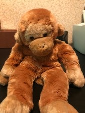 Beanie buddies bongo for sale  MORPETH