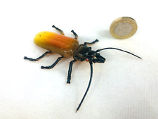 Toy insect beetle for sale  BLACKPOOL