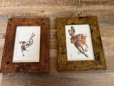 Watercolour hare pictures for sale  LICHFIELD