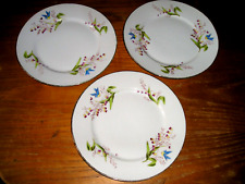 Porcelaine limoges assiettes d'occasion  Adriers
