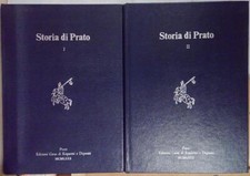 Storia prato 2 usato  Fonte Nuova