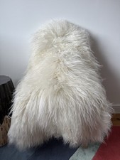 Large genuine icelandic for sale  WANTAGE