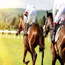 Méthode turf regultierce d'occasion  France