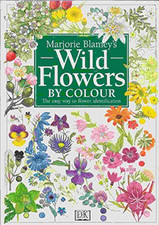Wildflower colour blamey for sale  UK