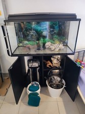 Aquarium 200 liter gebraucht kaufen  Oberdachstetten