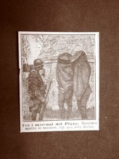 Tra marinai del usato  Villarosa