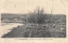 Nivernais moutons 13401 d'occasion  Expédié en Belgium