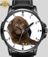 Labrador retreiver brown for sale  STOCKTON-ON-TEES
