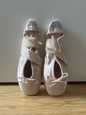 Ballett spitzenschuhe swan gebraucht kaufen  Heidesheim
