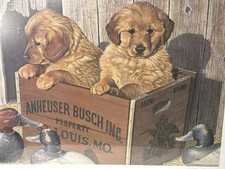 buddy gold retriever for sale buddy gold retriever for sale Paradise Valley