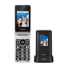 Brondi amico prezioso usato  Nocera Inferiore