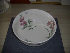 Noritake wintergarten große gebraucht kaufen  Lingenfeld