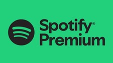 Spotify premium individual usato  Italia