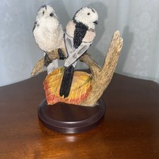 Long tailed tit for sale  CRAIGAVON