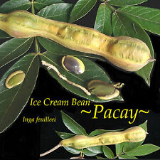 Pacay ice cream for sale  Haleiwa