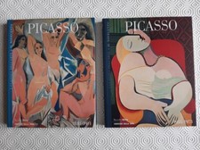 Picasso 1881 1914 usato  Biella