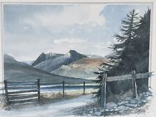 Geoffrey cowton signed for sale  TIVERTON