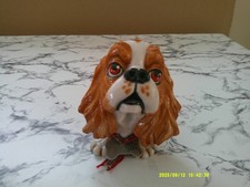Little paws trudi for sale  ANTRIM
